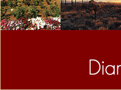 Diamond Beauty Products Int'l Inc.���S