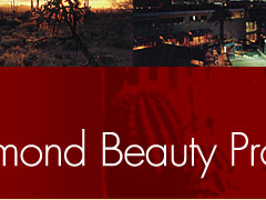 D.B.P.I.�Ѓ��S